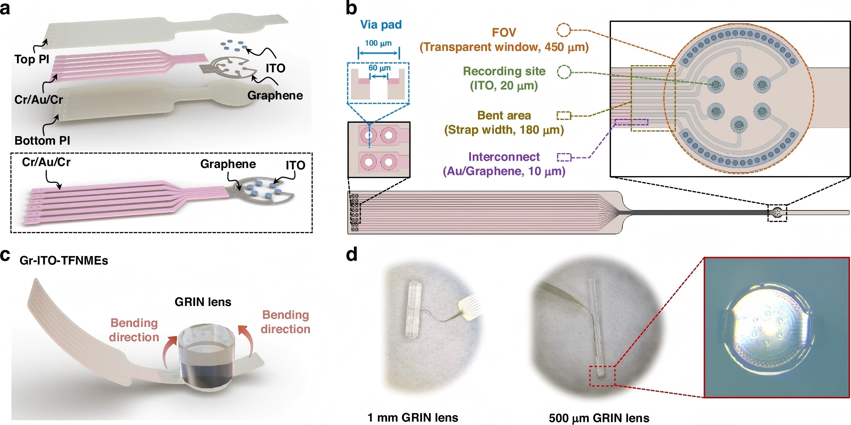 二維材料PDMS干法轉移助力柔性電子新發展