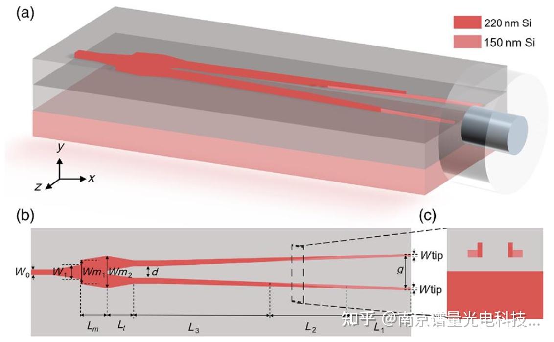 雙層雙尖端端面耦合器示意圖